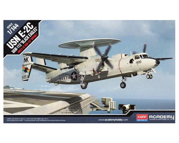 USN E-2C VAW-113 "BLACK EAGLES"