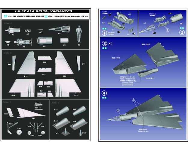 I.A.37 - ALA DELTA by HORTEN - 1/48