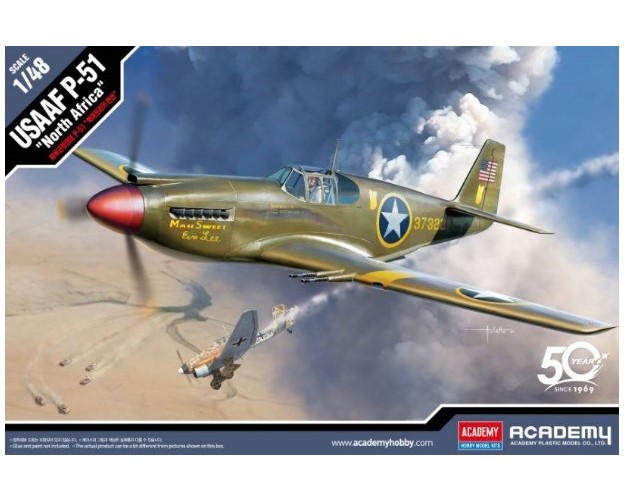 USAAF P-51 "NORTH AFRICA"