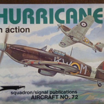 HURRICANE IN ACTION