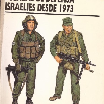 FUERZAS DE DEFENSA ISRAELÍES DESDE 1973